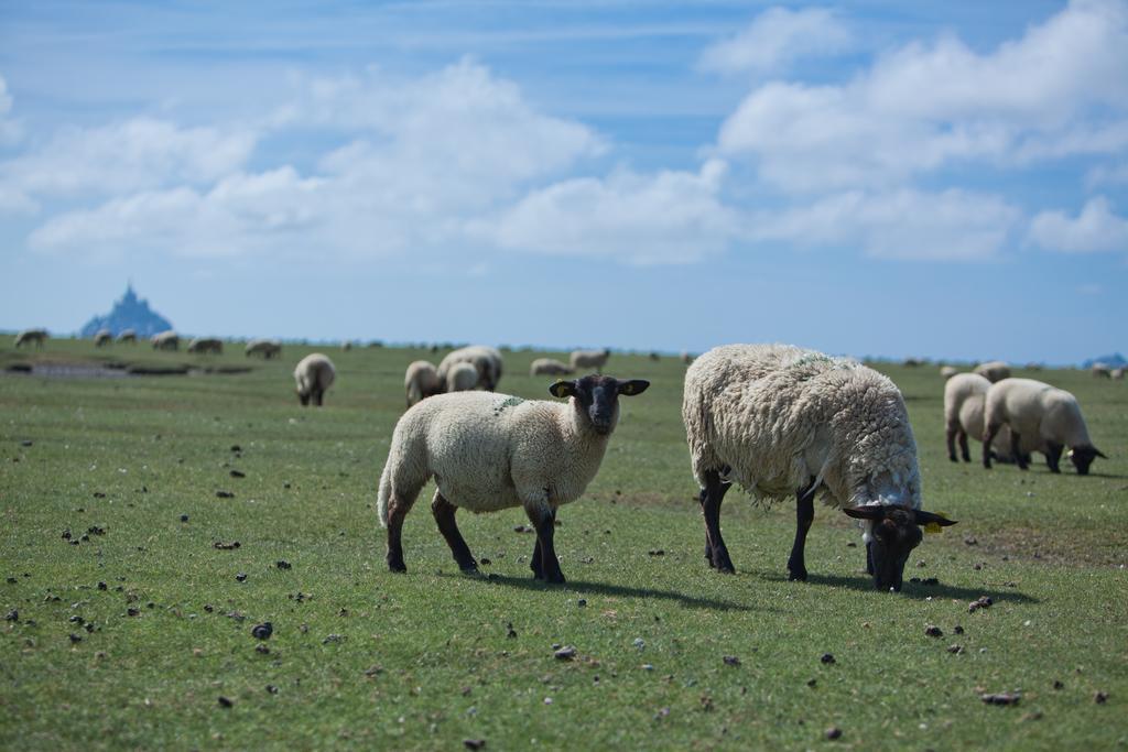 Le Mouton Blanc Hotel Mont-Saint-Michel Ngoại thất bức ảnh